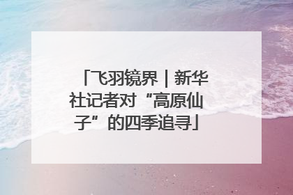 飞羽镜界｜新华社记者对“高原仙子”的四季追寻